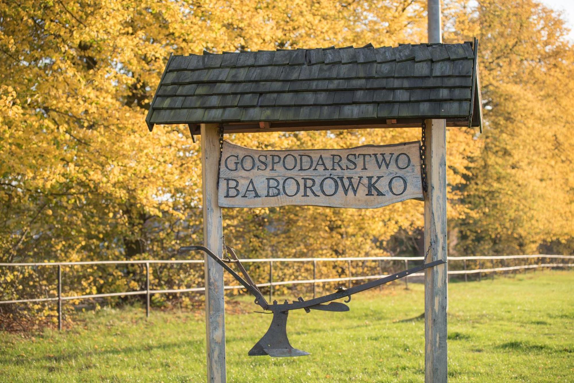 Palac Baborowko Szamotuly Exterior photo